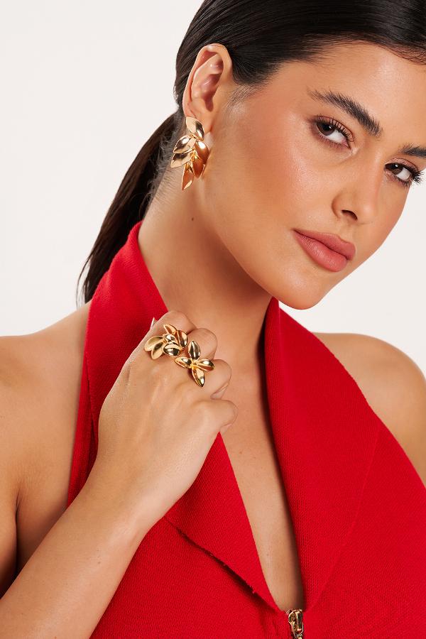 ANILLO