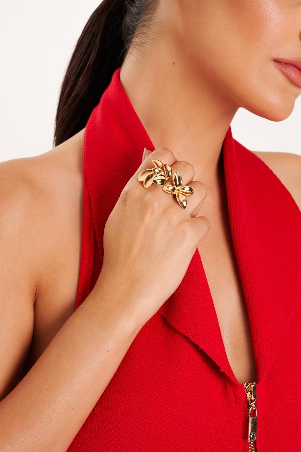 ANILLO