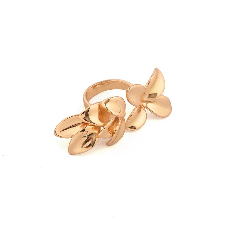 ANILLO